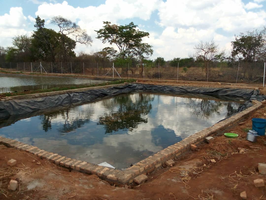 Fish Pond Construction